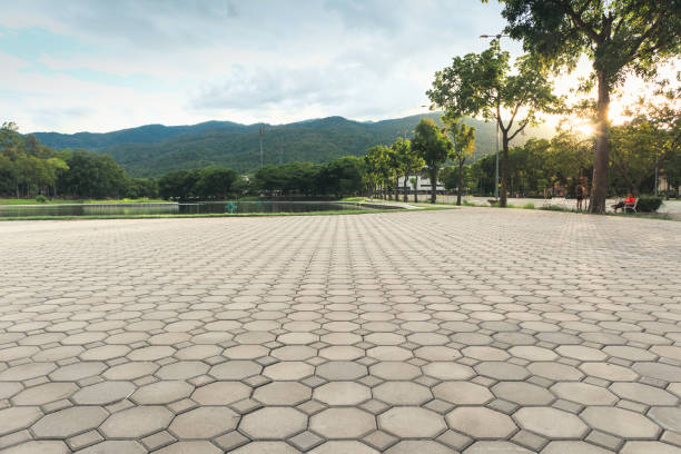 Best Permeable Paver Driveway  in Cisco, TX